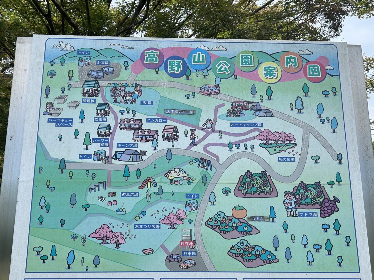出水市高野山公園の案内図