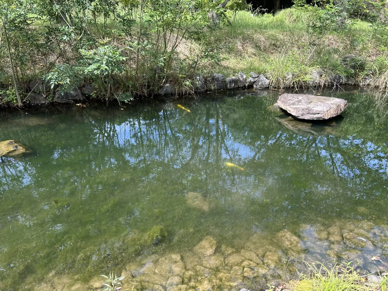 出水市高野山公園の池