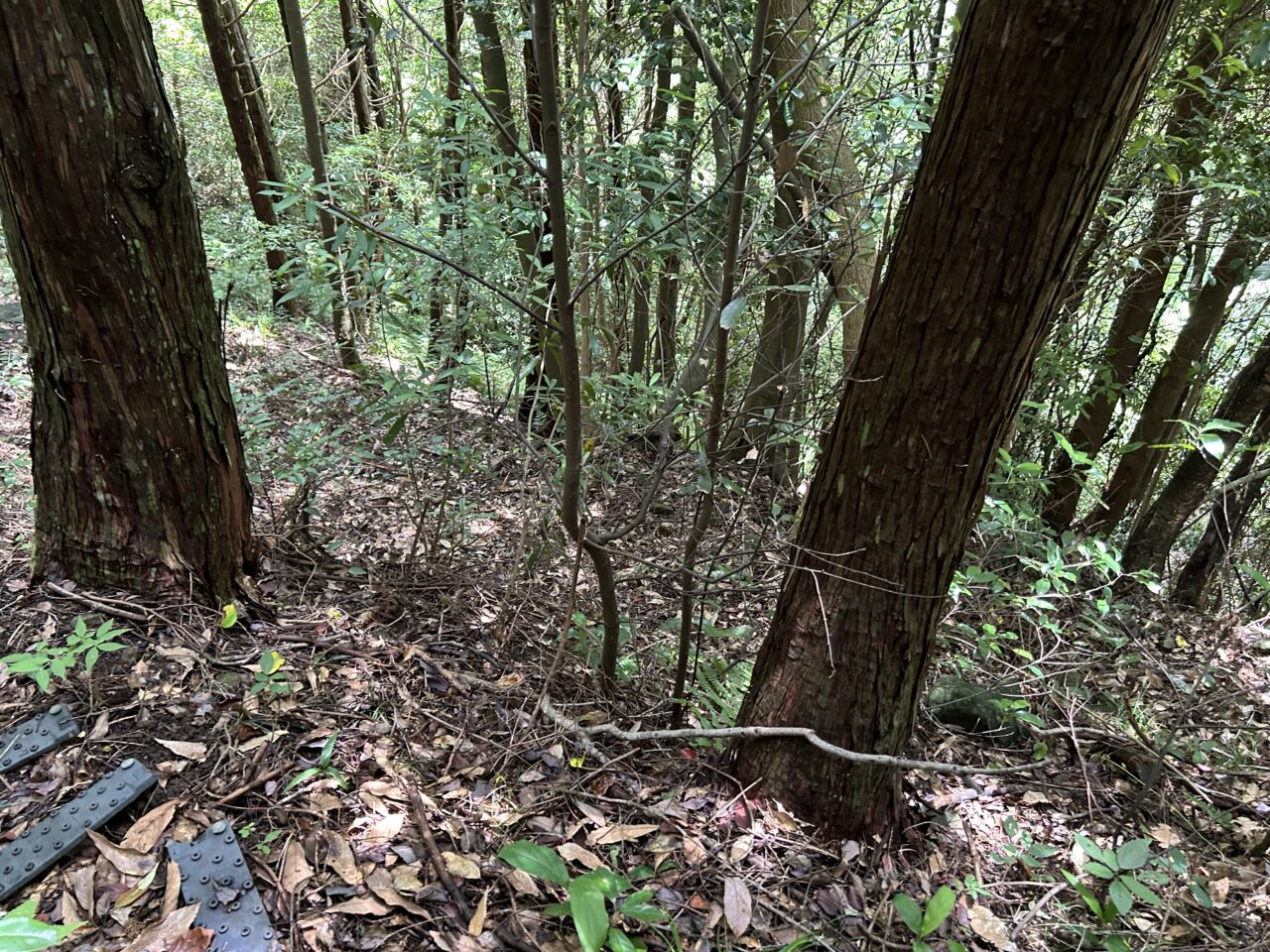 薩摩川内市麻漬の滝の山